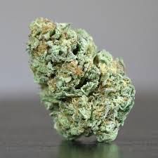 Platinum Yeti THCa Packaged Flower