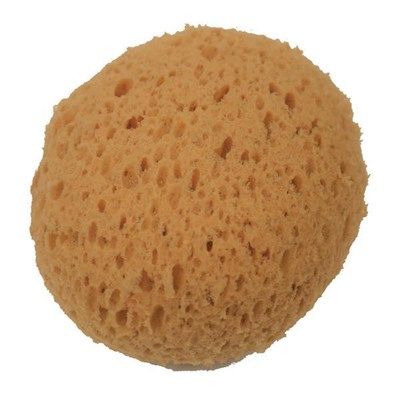 Wash Life Sponge Synthetic Copal