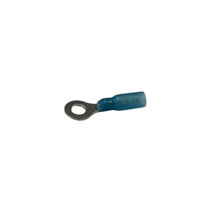 Blue 1/4&quot; ring terminals