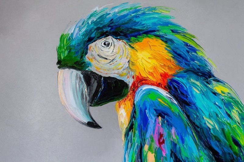 Camp Into the jungle,  June 1-4, 9-12 noon, ages 5 & up