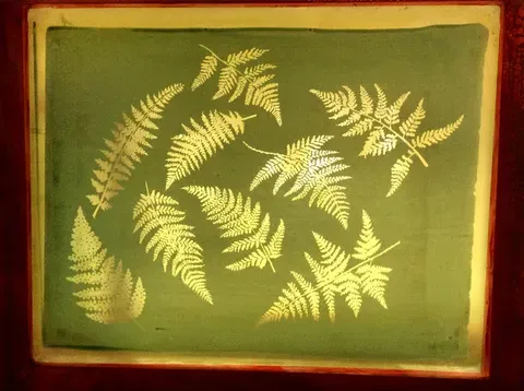 Camp Teen Printmaking camp, July 6-9, ages 12 & up