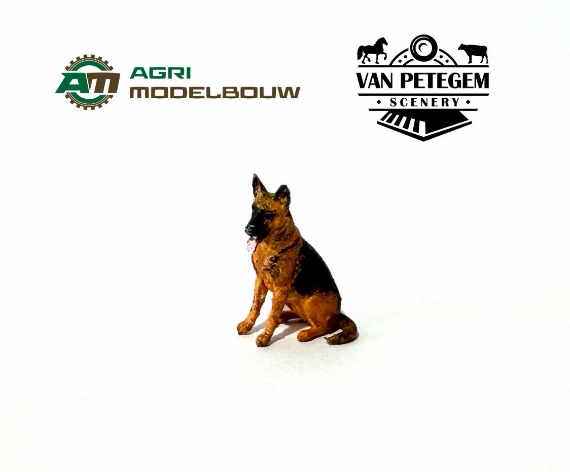 Duitse herder zittend