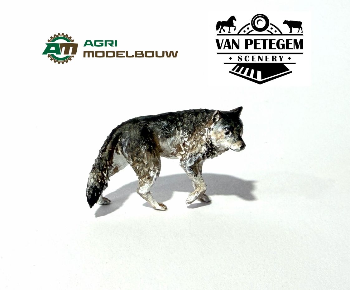 Wolf staand op 3 poten