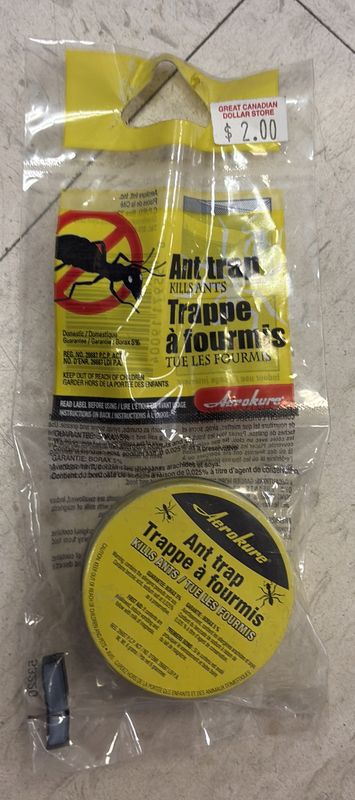 Ant trap