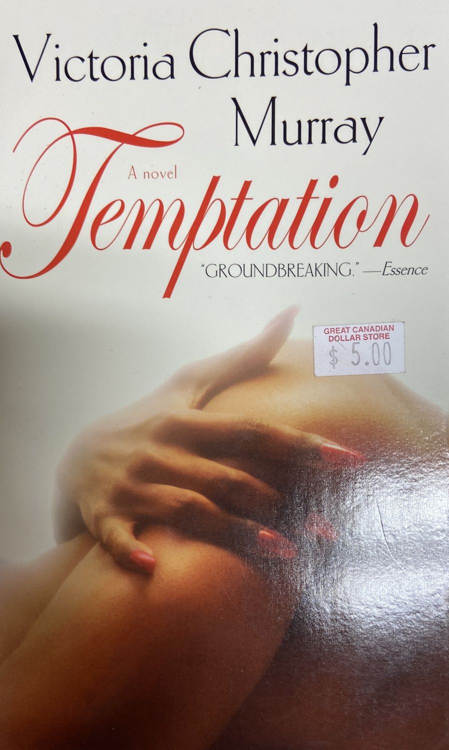 “Temptation” Novel