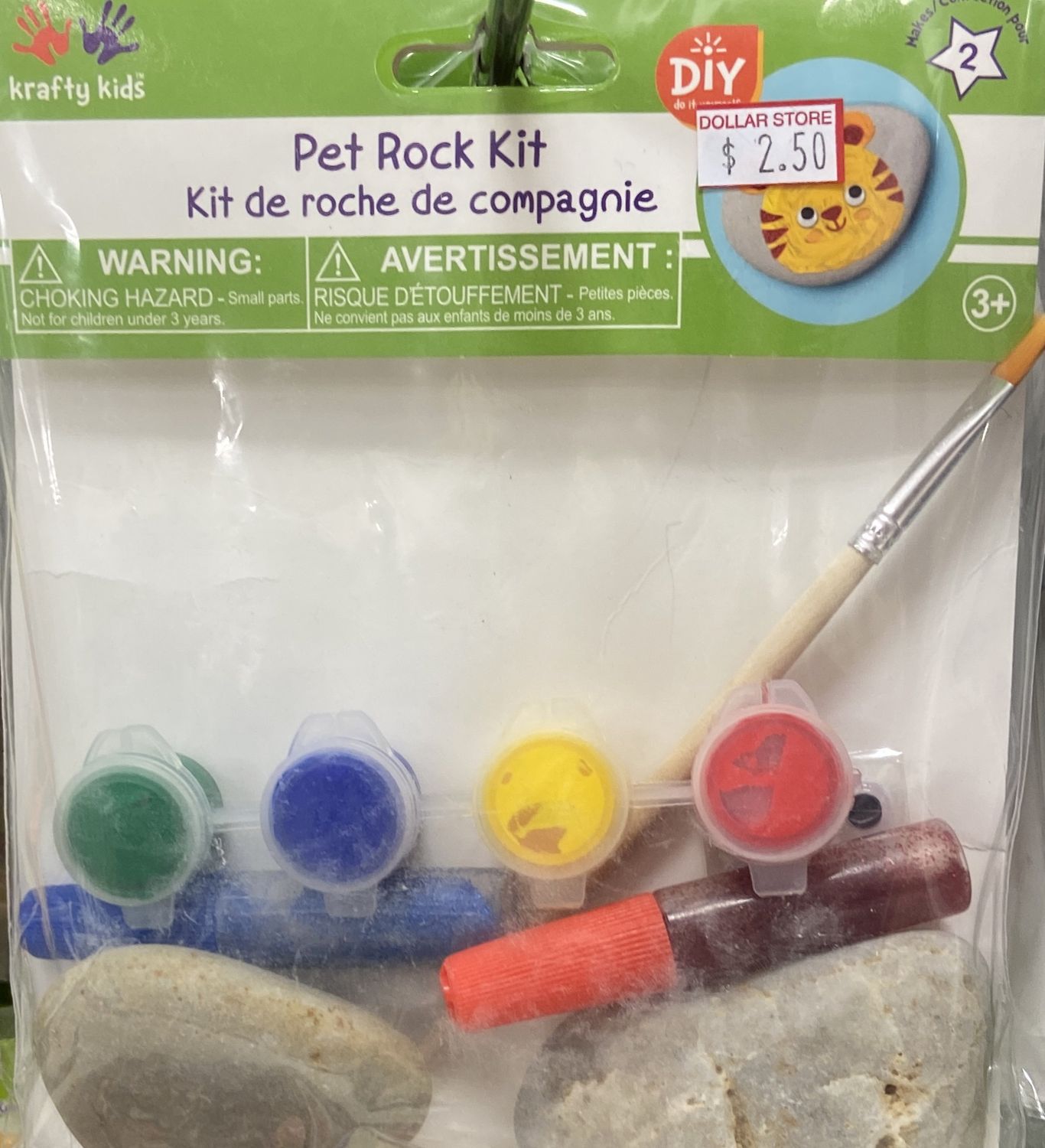 MultiCraft: Pet Rock Kit - Primary Colors 
