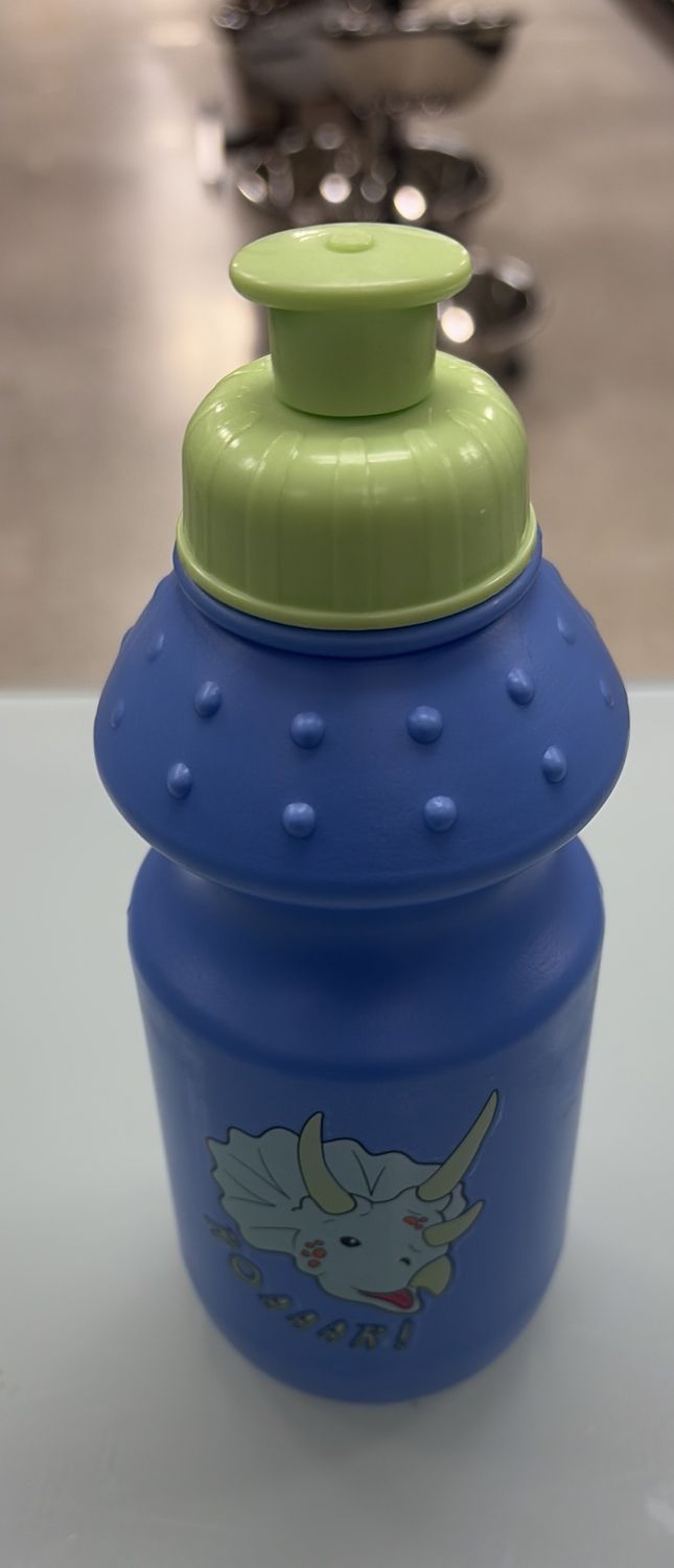 Roaaar kids water bottle
