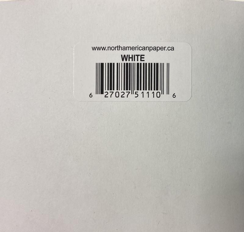 White Bristol Board