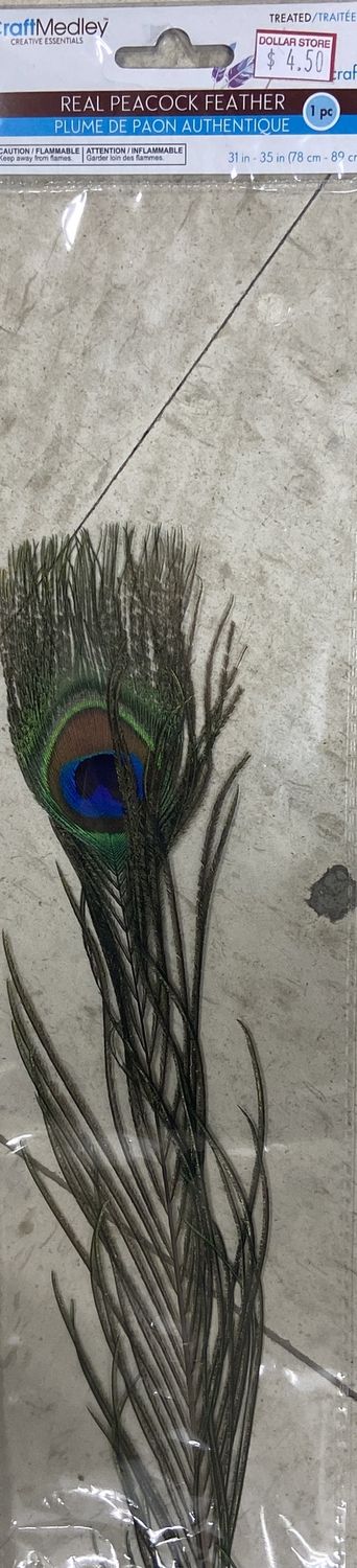 CraftMedley: Real Peacock Feather