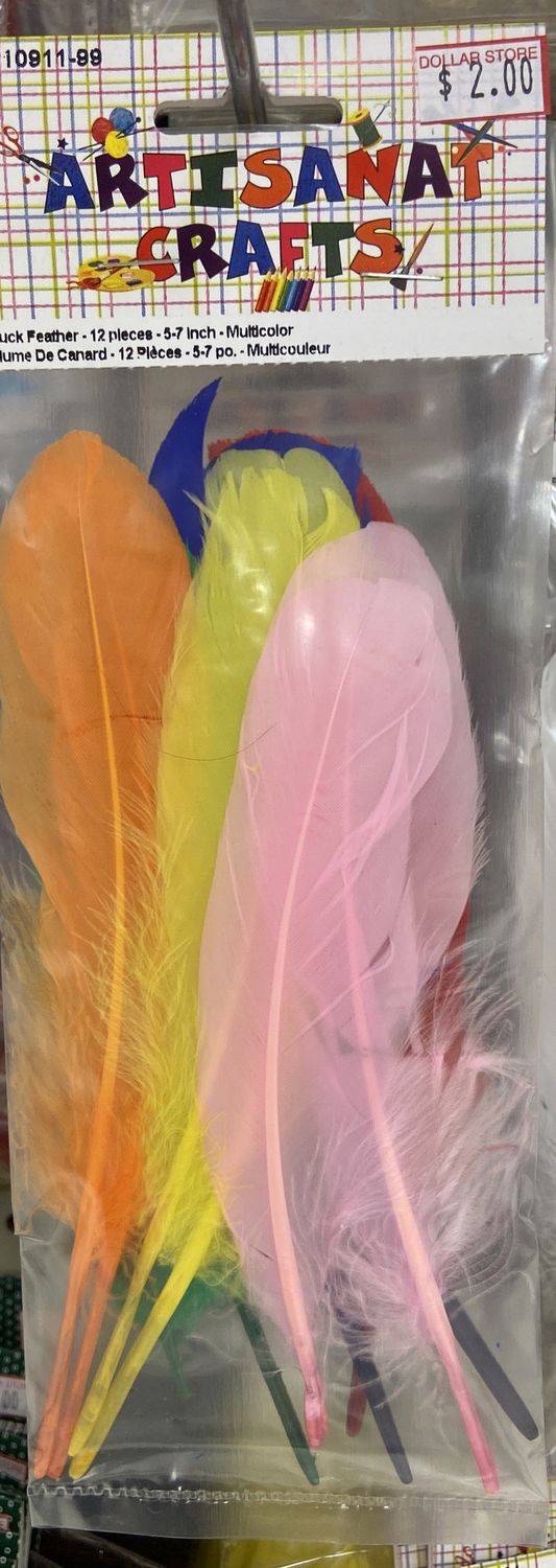 12pk Multicolour Duck Feather 5-7&quot;