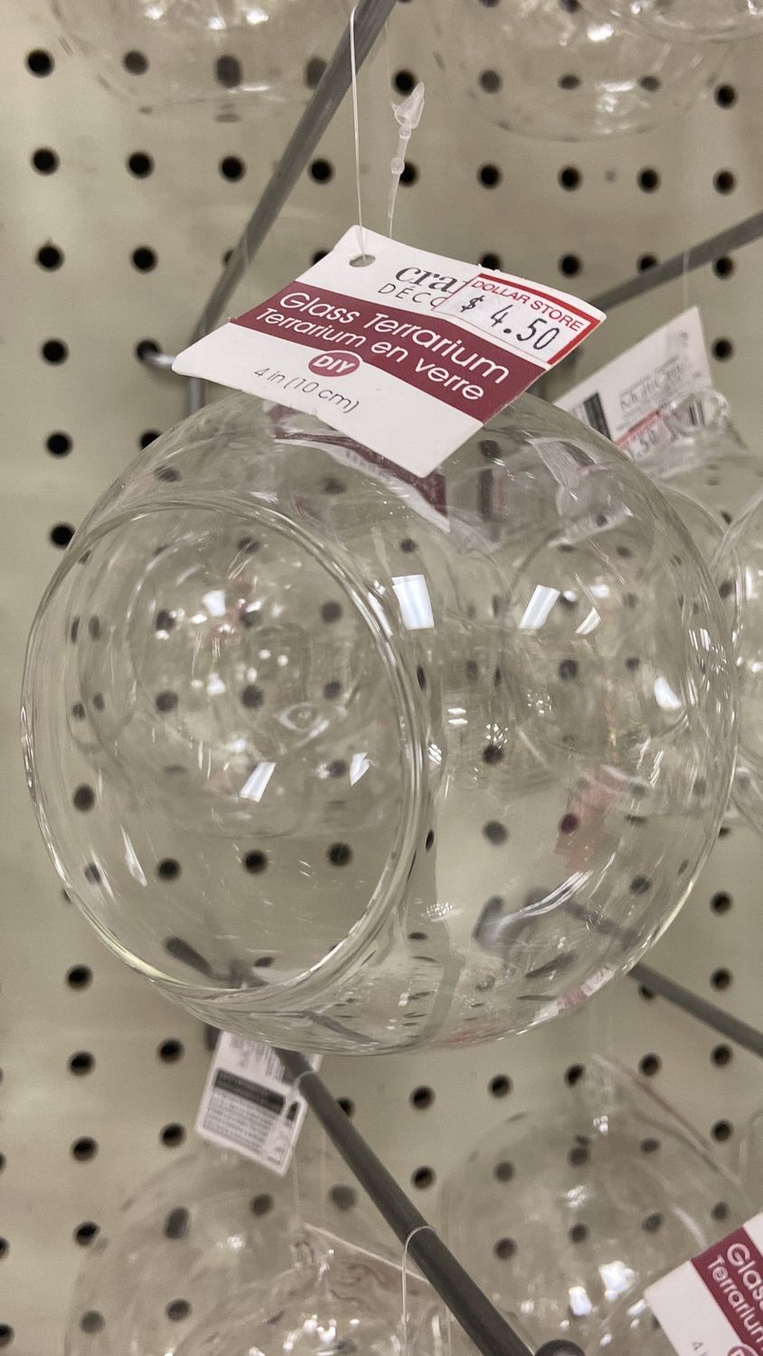 CraftDecor: 4&quot; Glass Terrarium