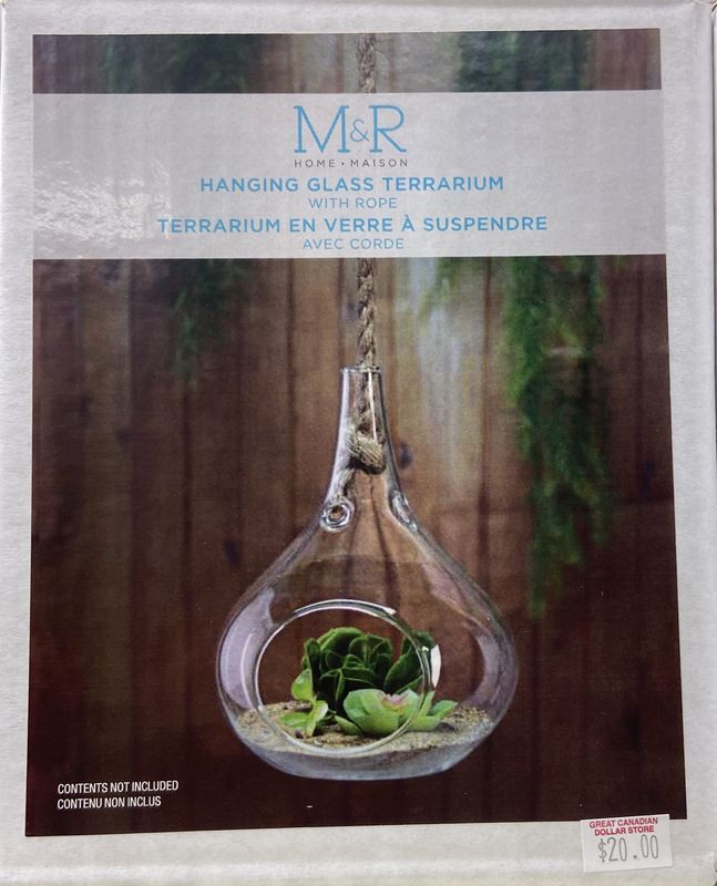 Hanging Glass Terrarium 14.7cm x 14.7cm x 19cm