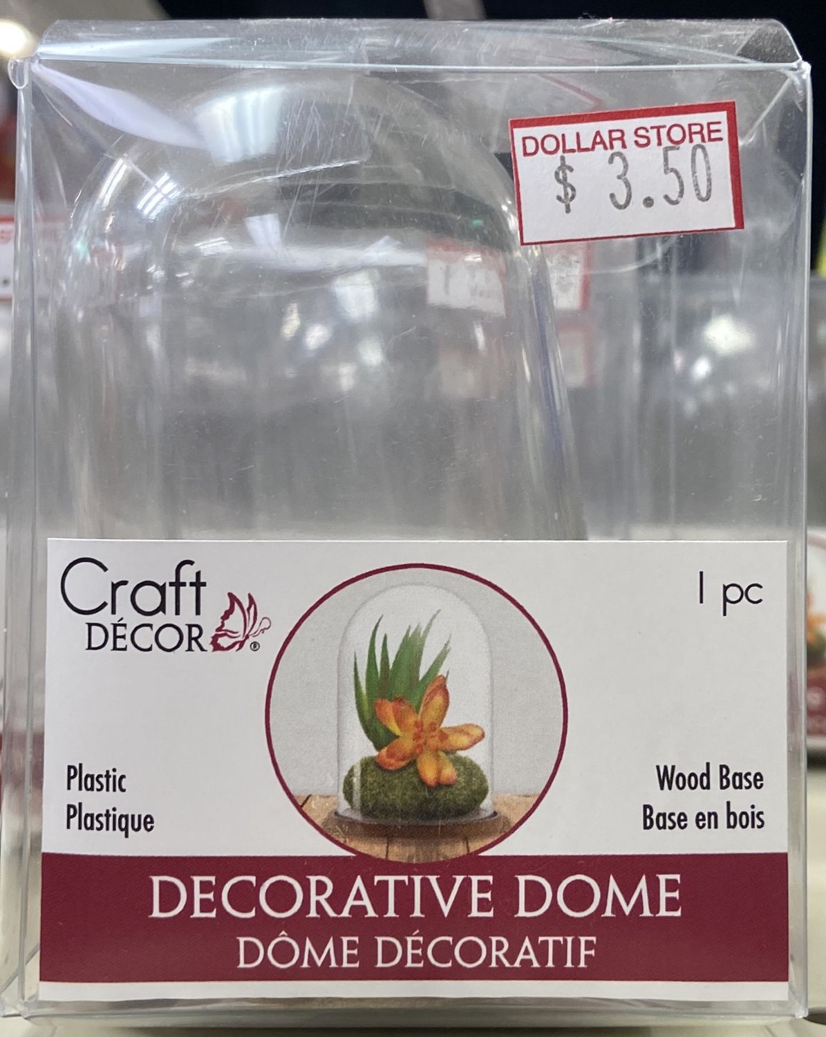 CraftDecor: Mini Plastic Decorative Dome