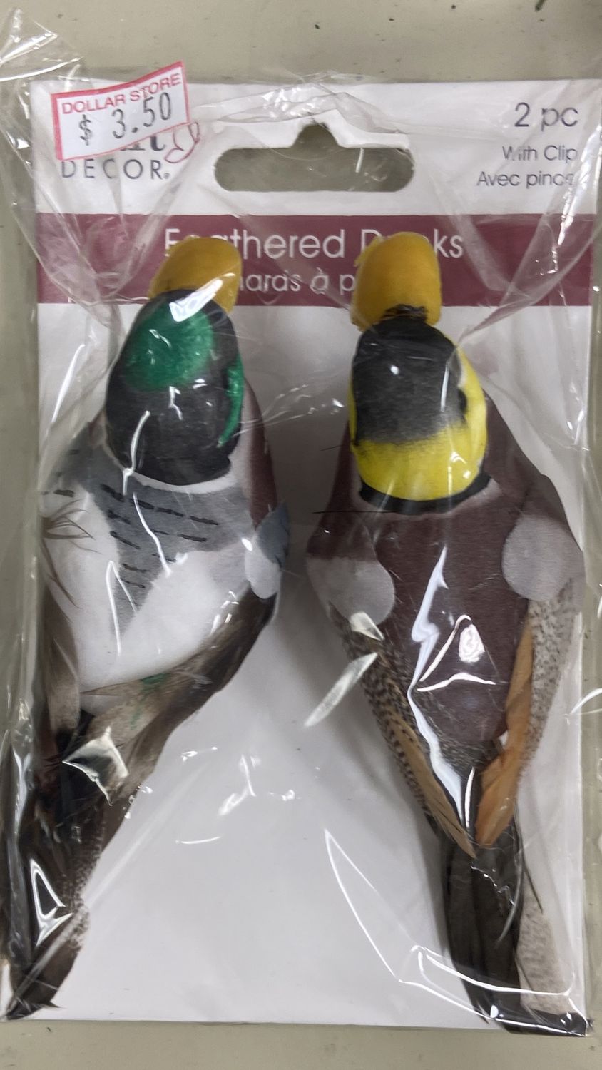 CraftDecor: Feathered Ducks x2