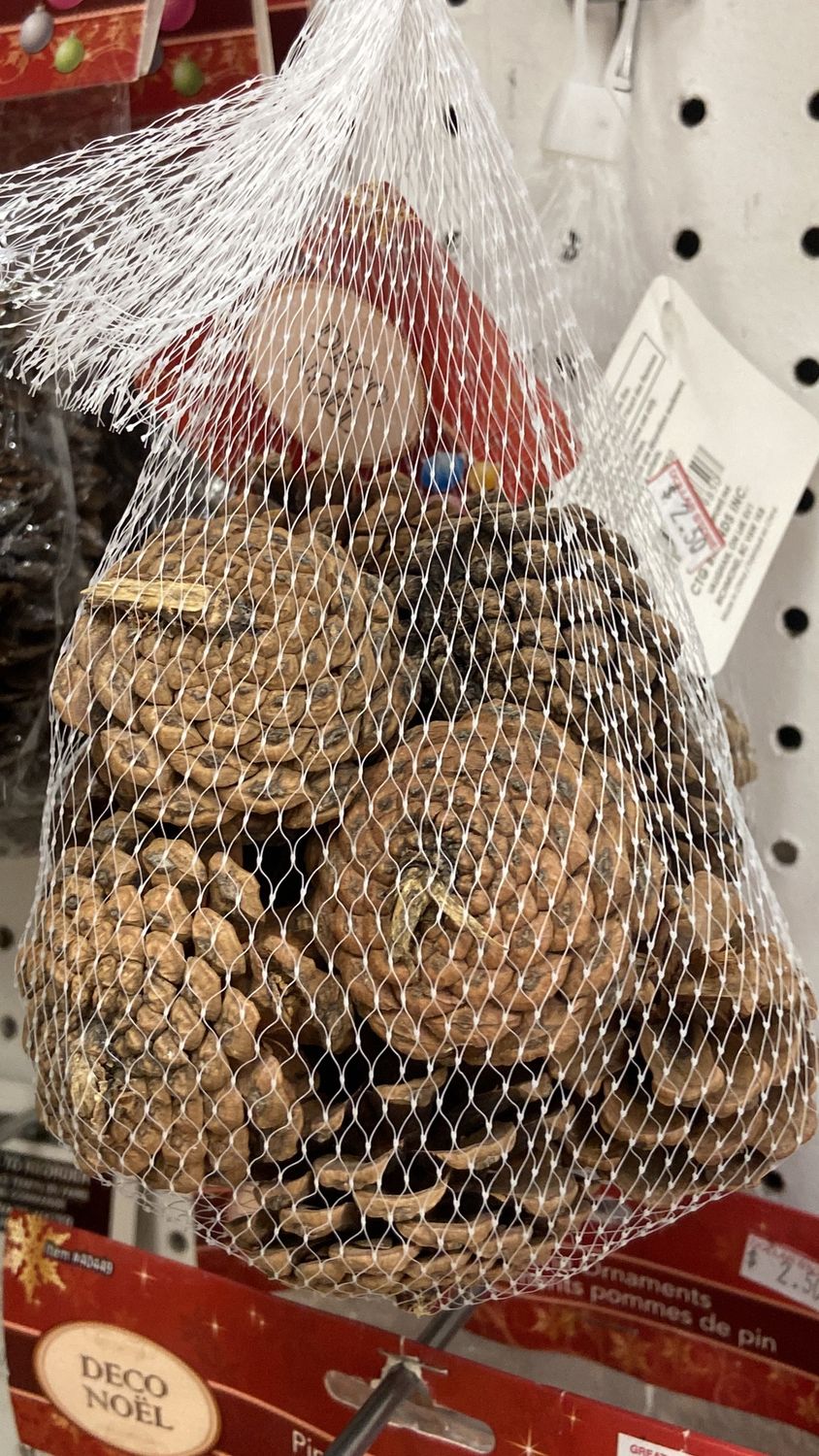 Deco Noel: Bag of Pinecones