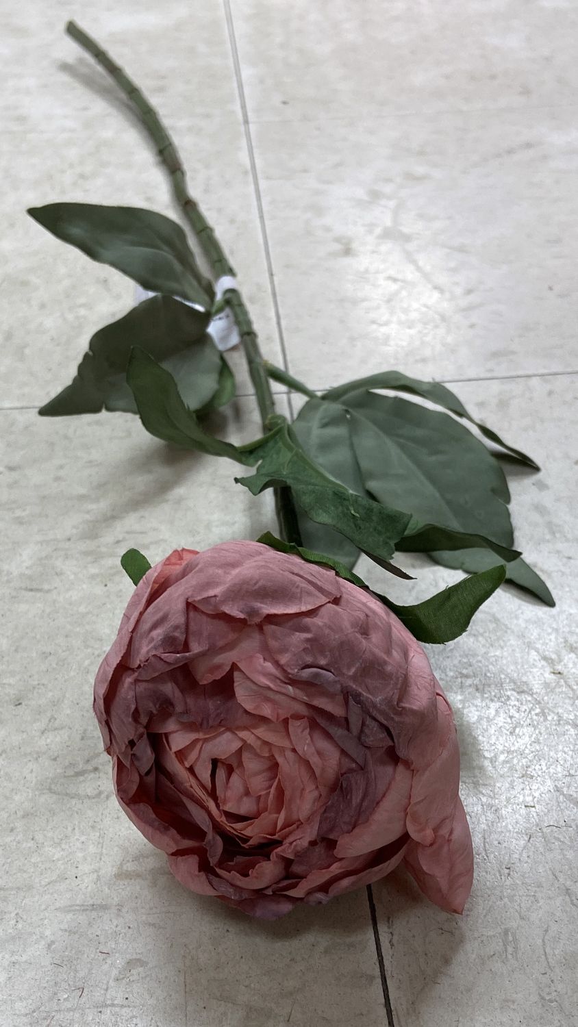 TRUU Design: #56060 Long Stem 1x Head Pink Peony