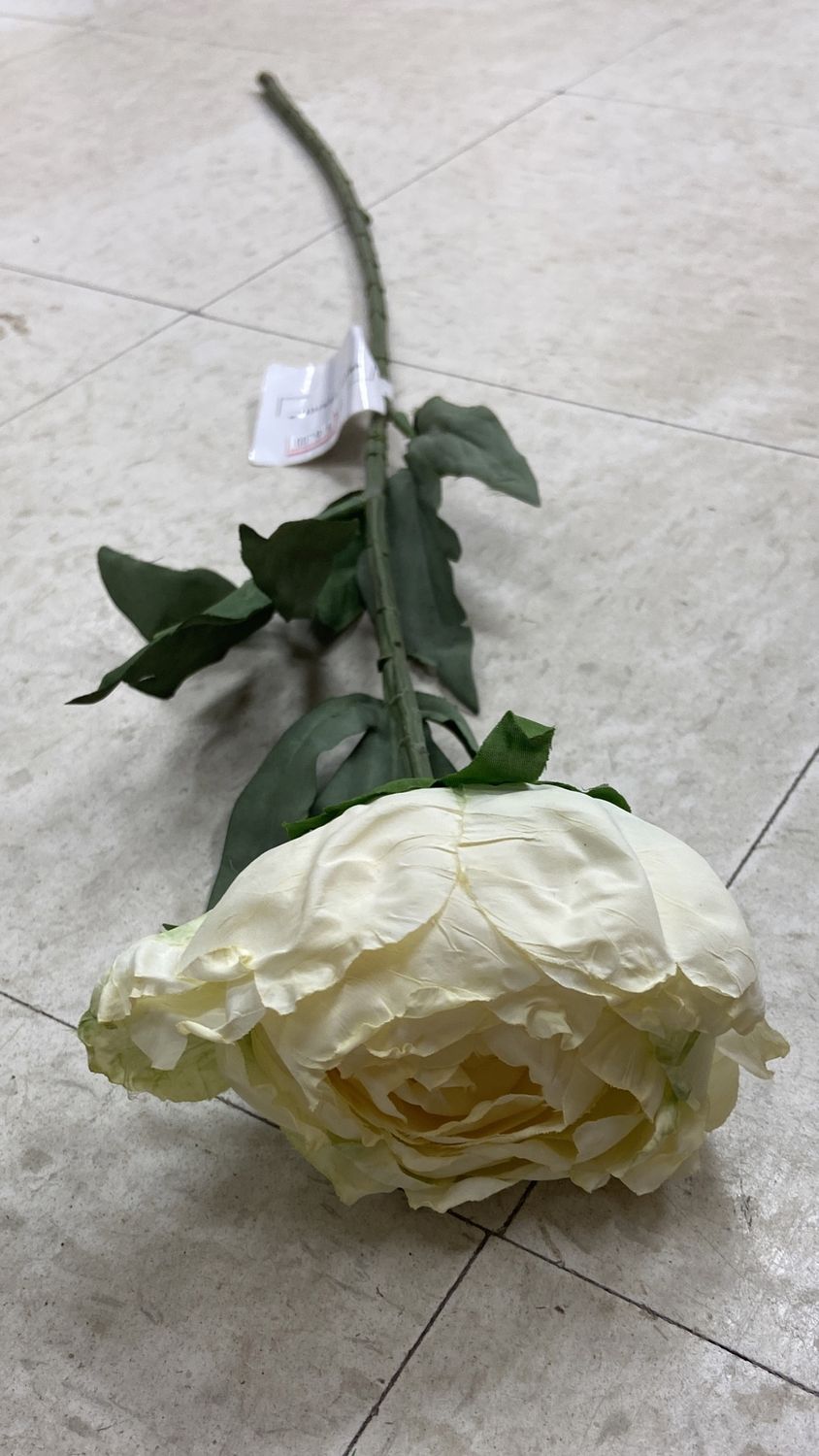 TRUU Design: #56062 Long Stem 1x Head Off-White Peony