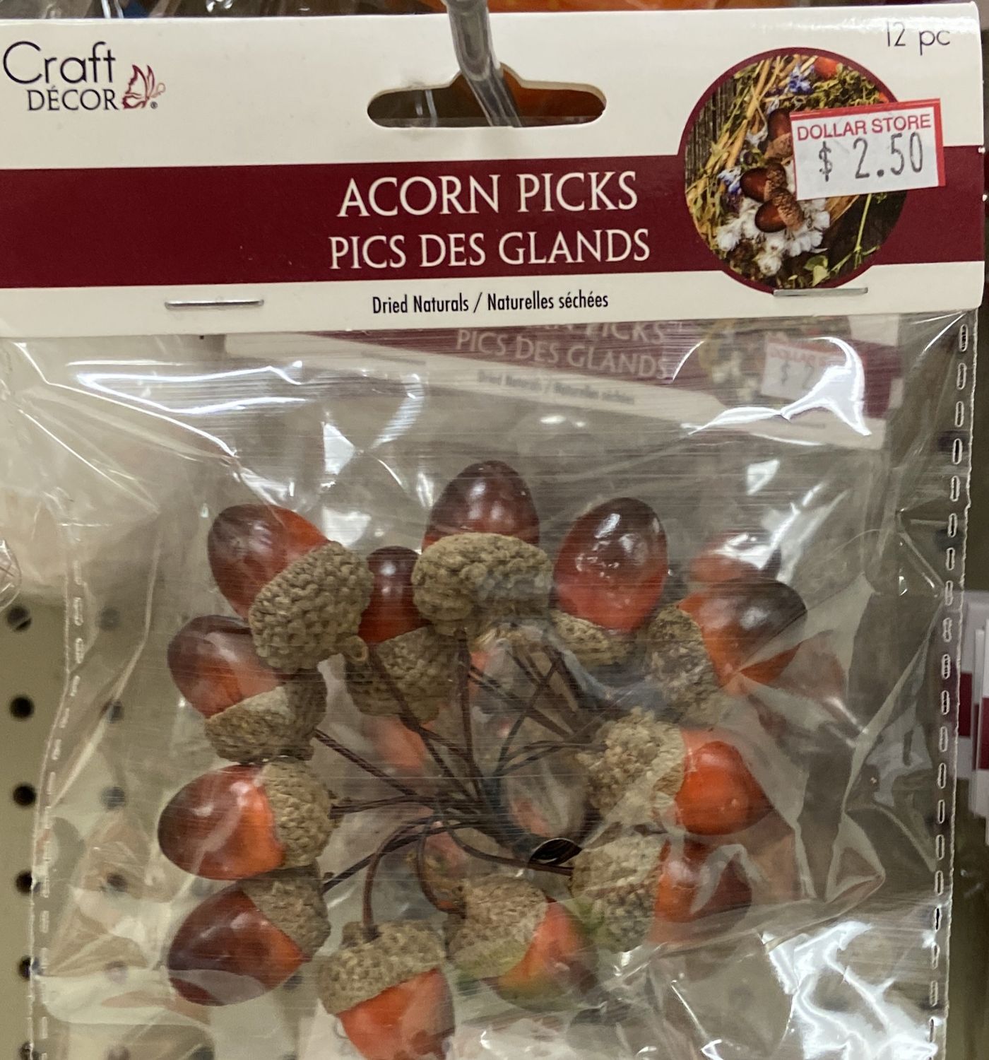 CraftDecor: 12 pc Acorn Picks
