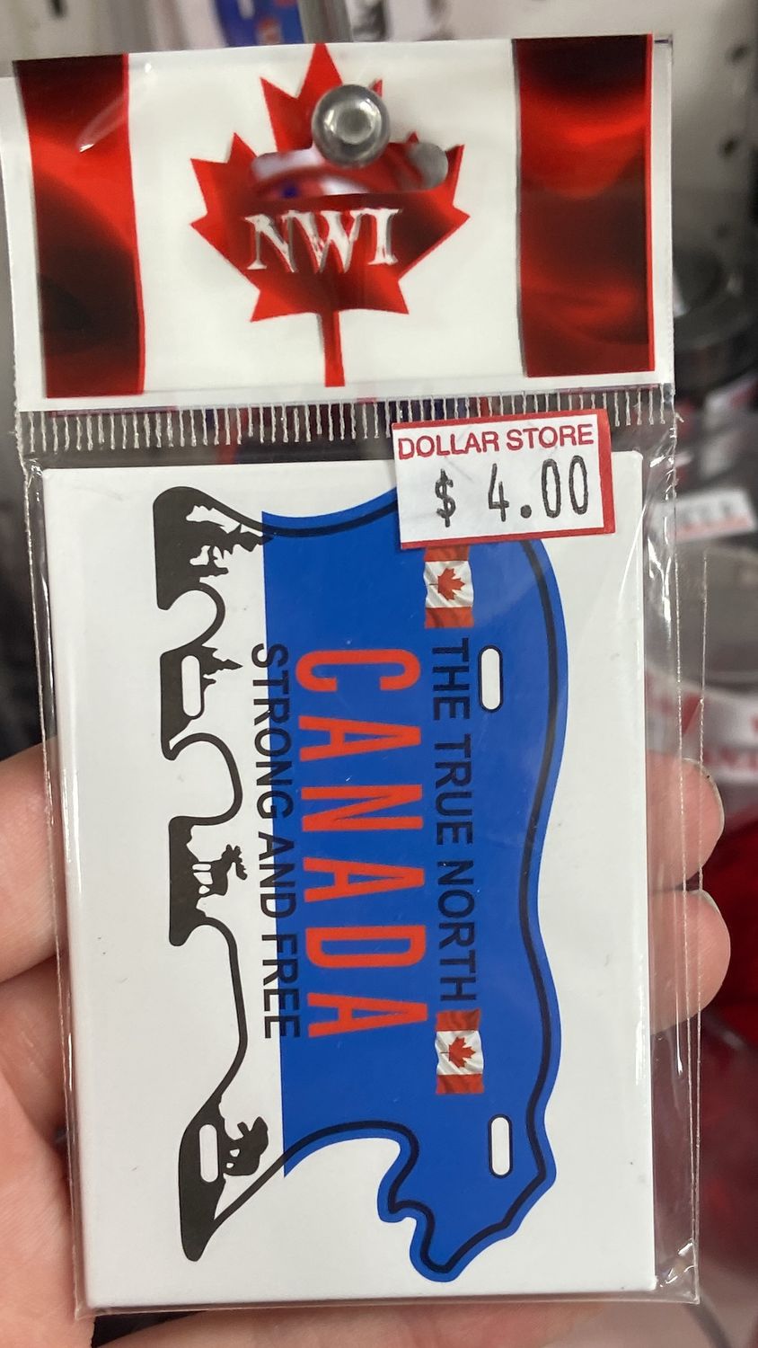 Synergy: Bear Shaped Canada Magnet