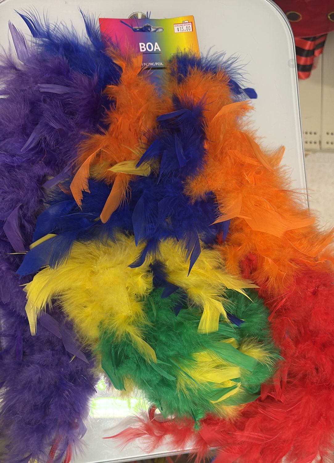 Colourful Boa