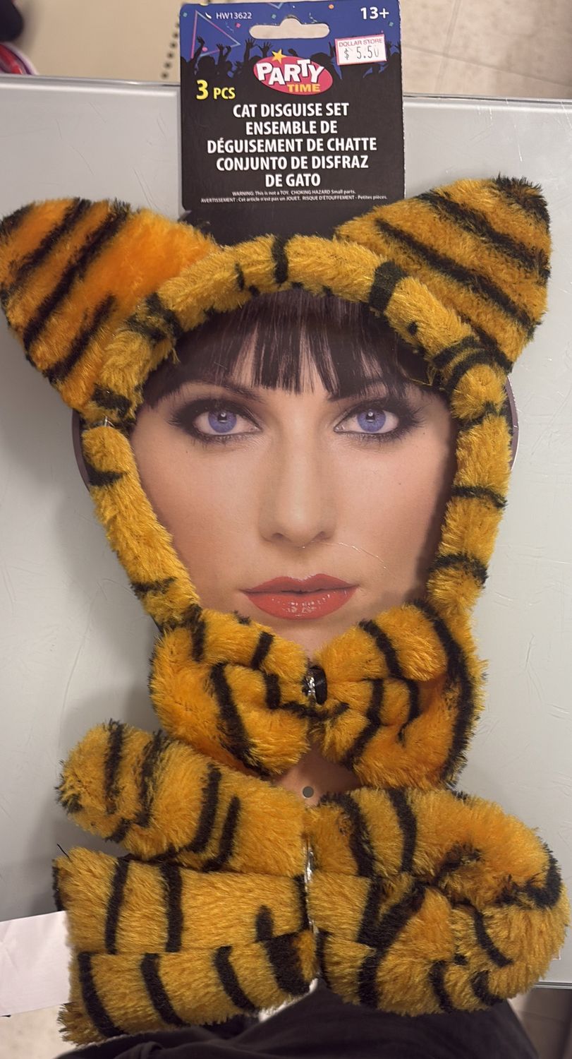 3 pcs cat disguise set