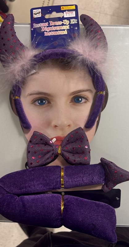 Instant dress up kit