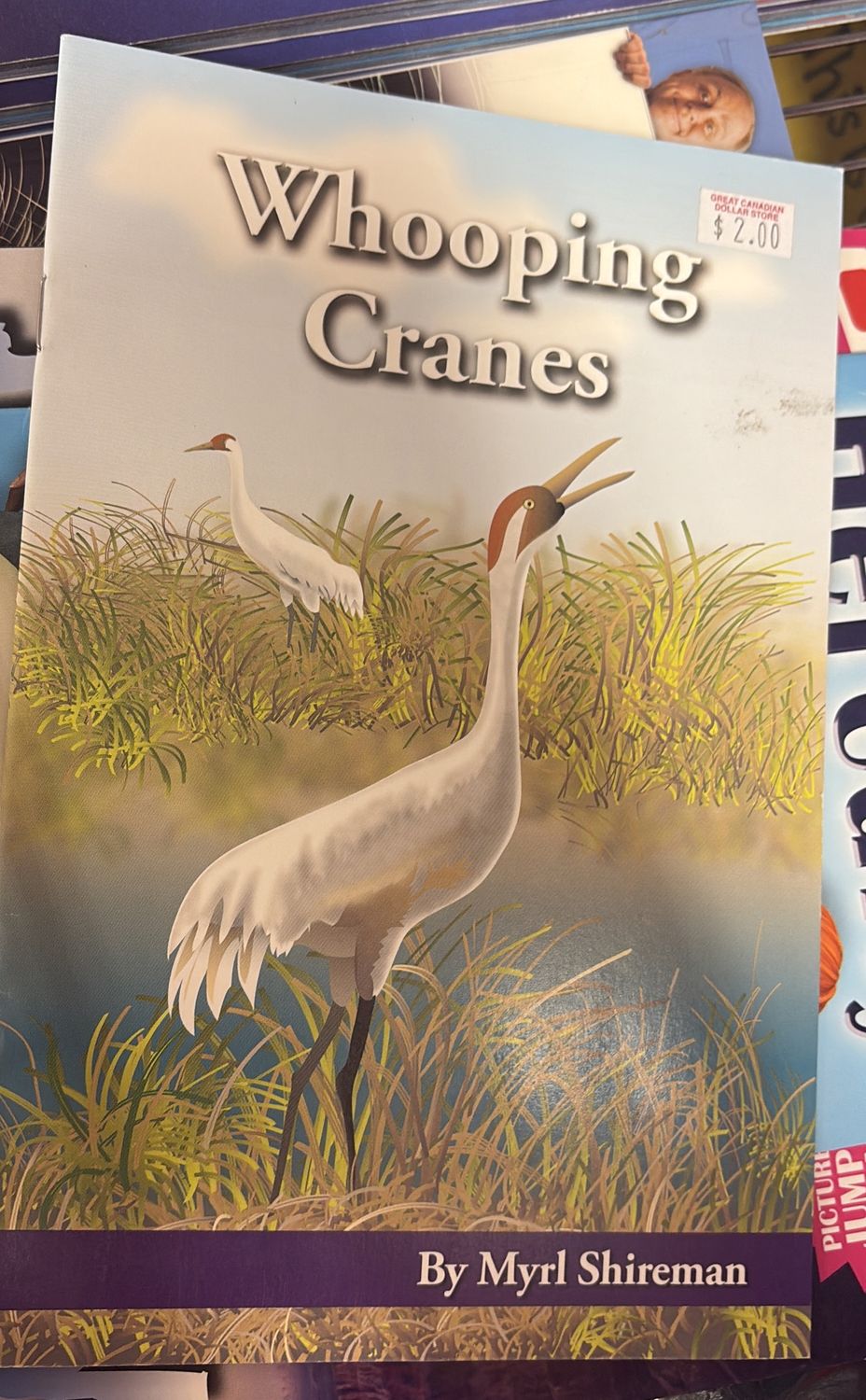 Whooping cranes