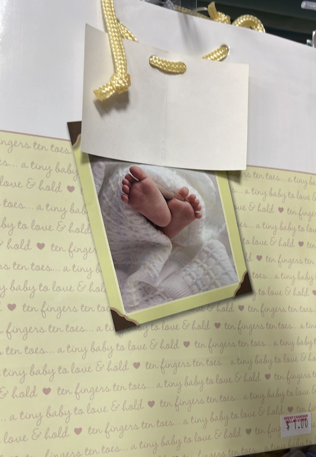 Aline: Medium Baby Gift Bag #00017A-2