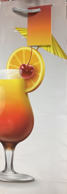 A-Line: Wine Bottle Gift Bag #58811