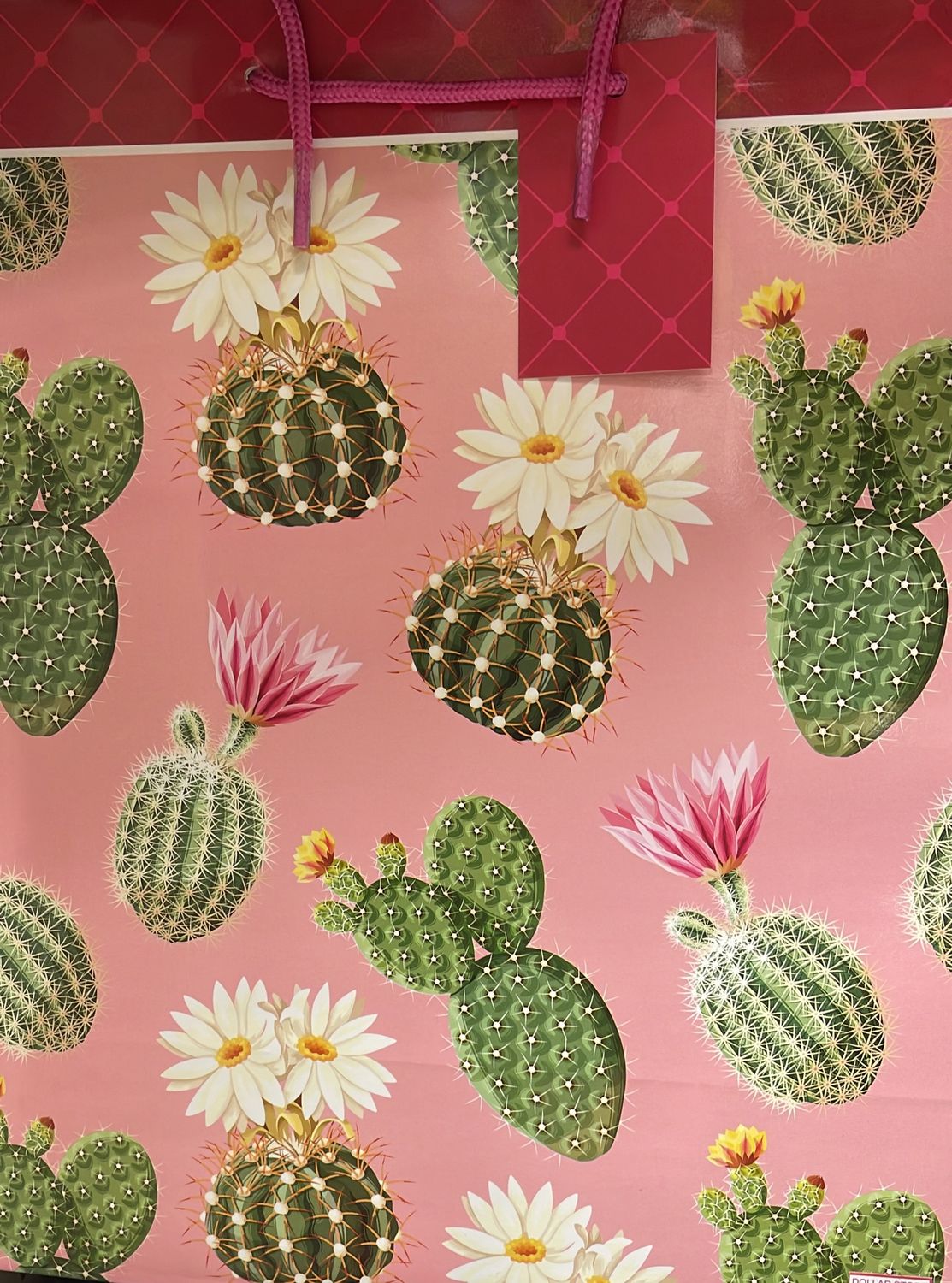 A-Line: Medium Gift Bag #58785-2