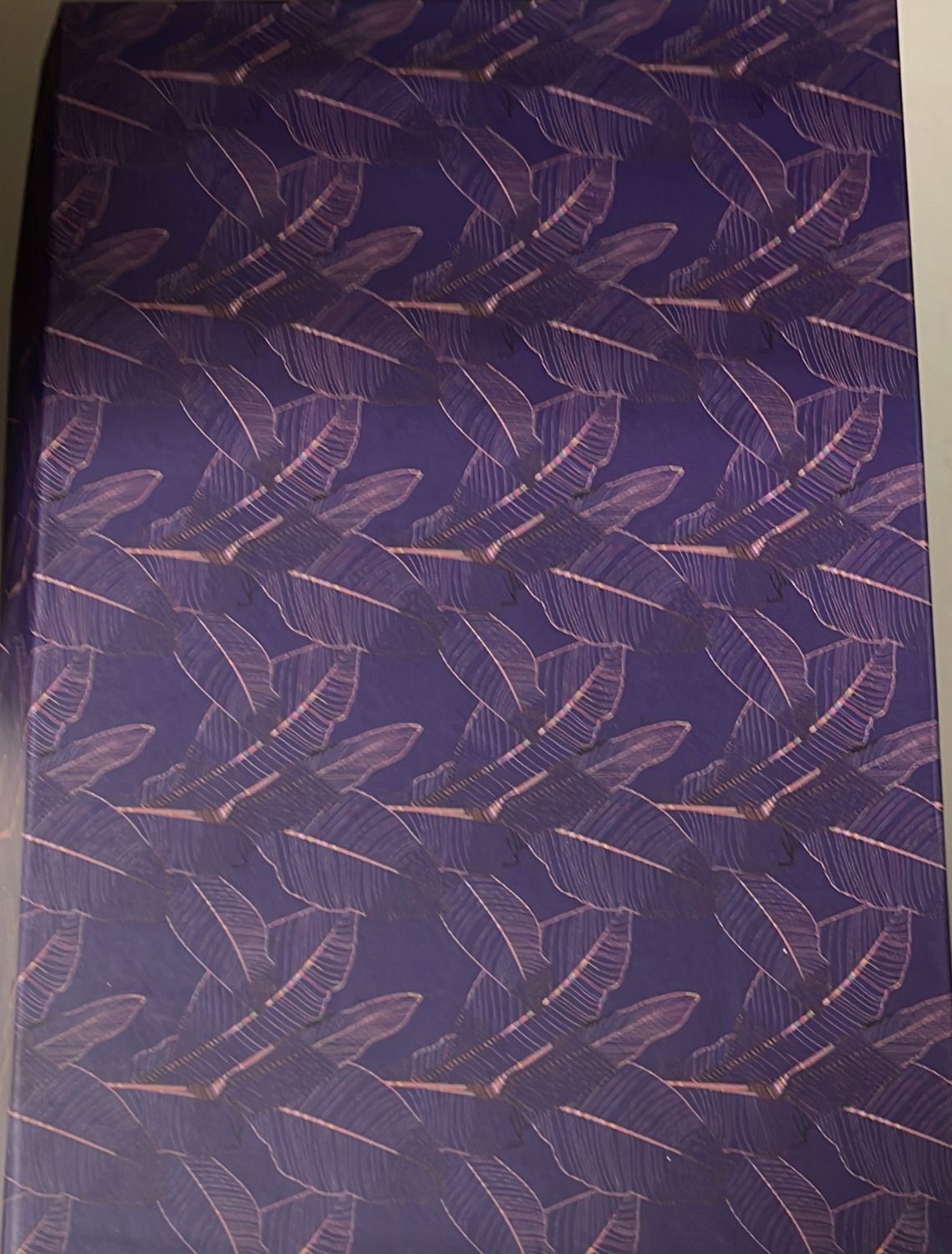 PKDouglas: Small Feathered Magnetic Gift Box #56068