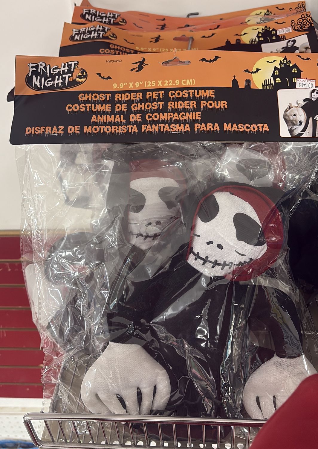 Halloween ghost rider pet costume
