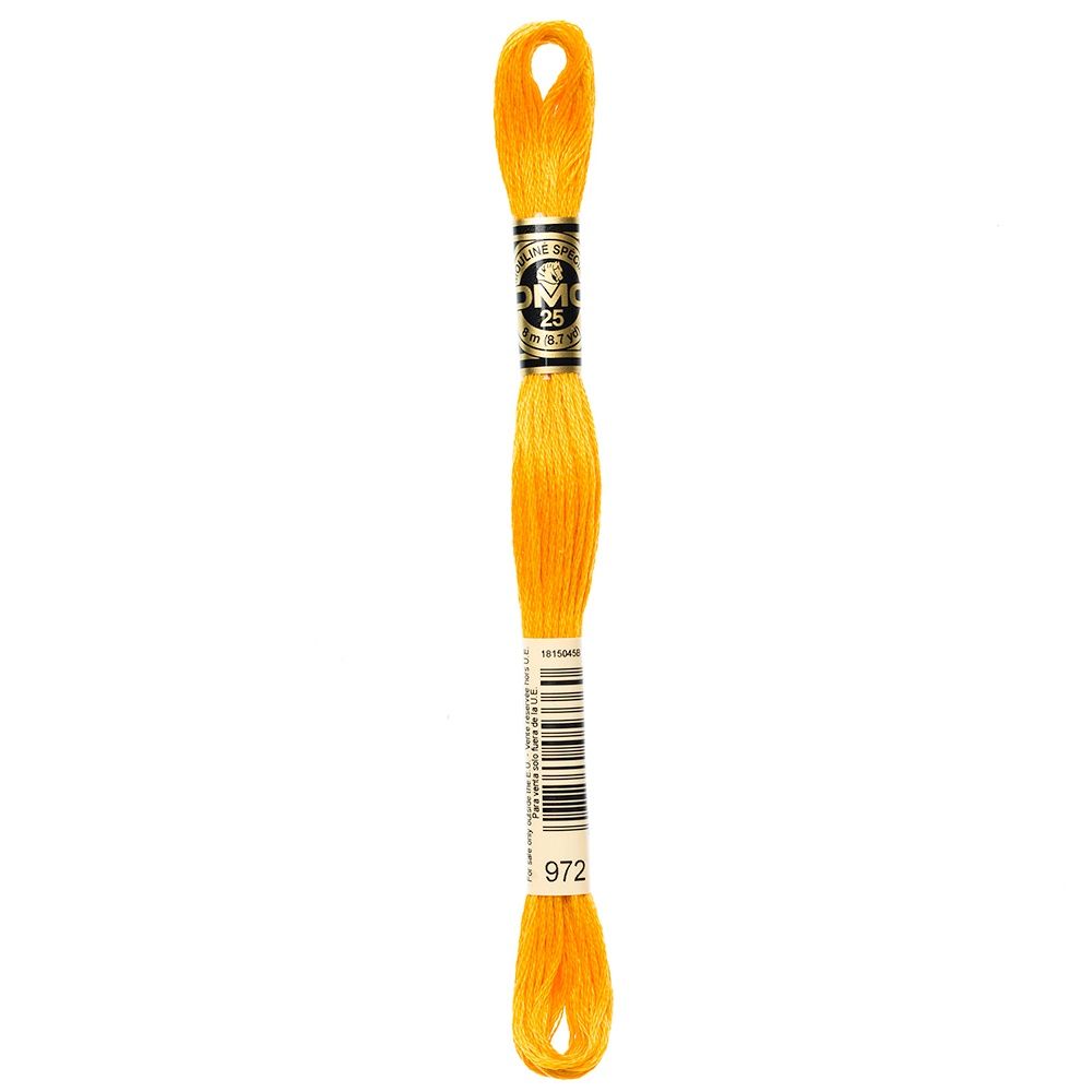 DMC #117 Cotton 6 Strand Floss 8m - 972