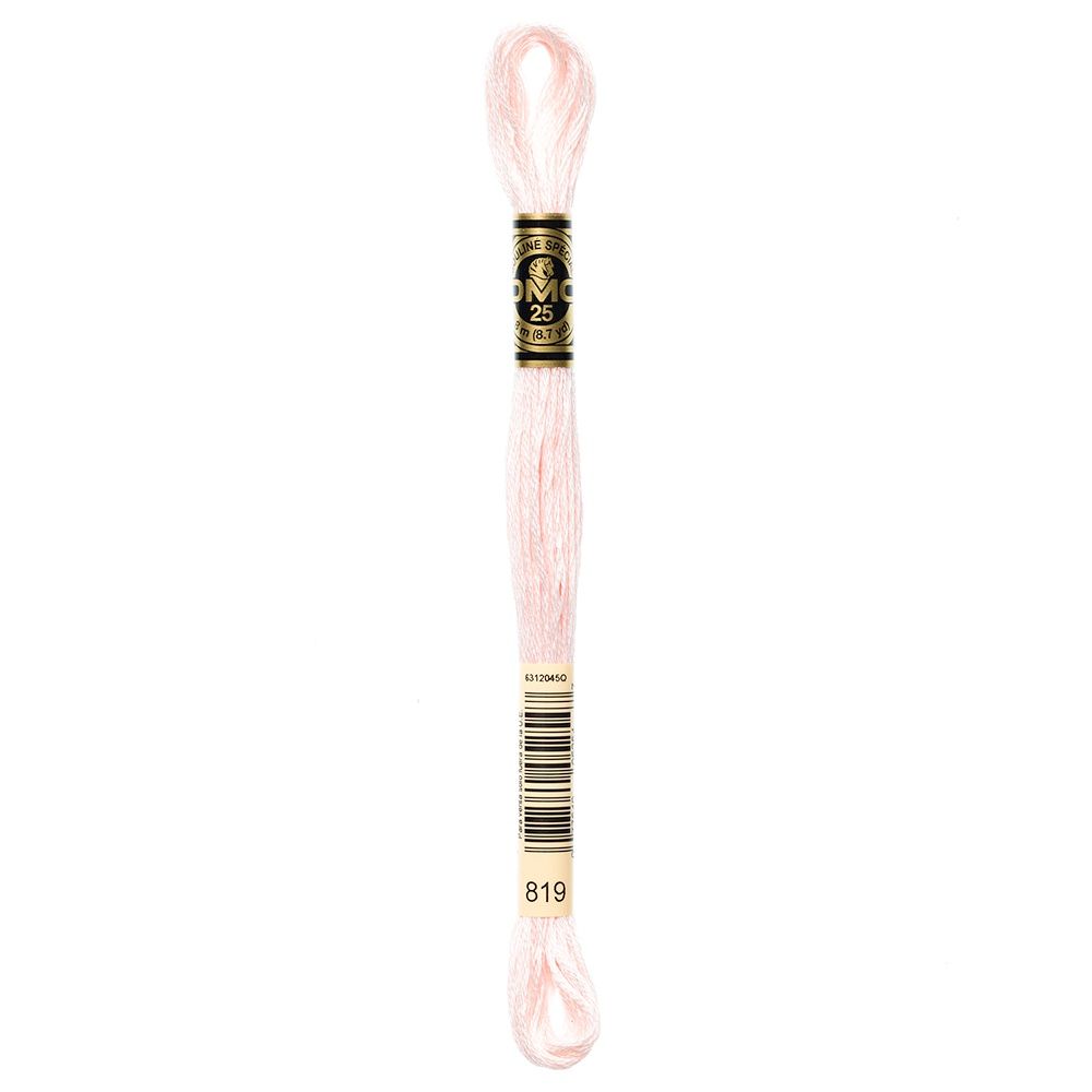 DMC #117 Cotton 6 Strand Floss 8m - 819