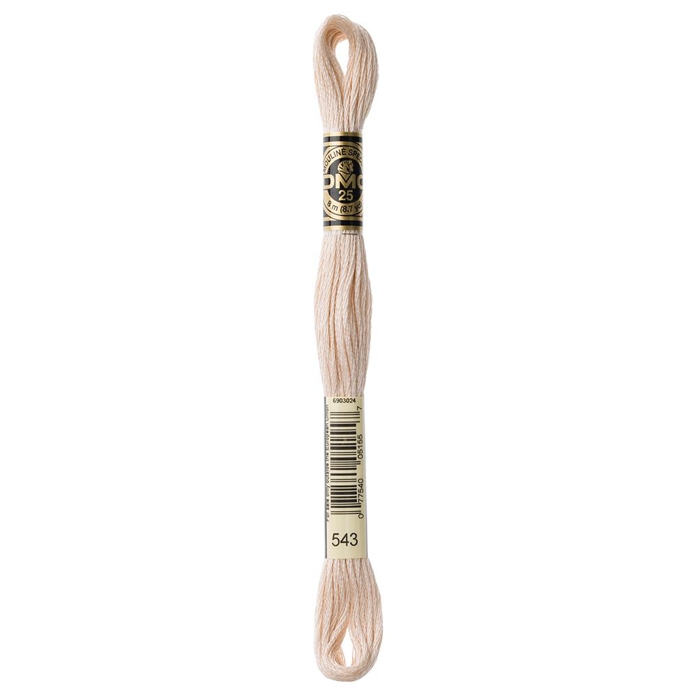 DMC #117 Cotton 6 Strand Floss 8m - 543
