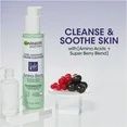 Garnier Green Labs Ultra Soothing Cream Cleanser Amino Berry