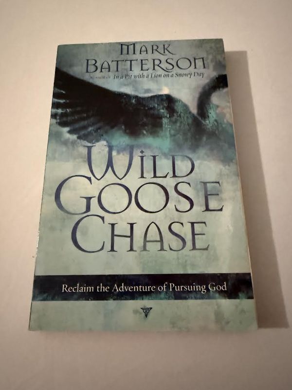 Wild Goose Chase : Reclaim the Adventure of Pursuing God by Mark Batterson