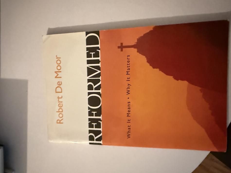 Reformed Novel What it means. Why it Matters by Rober De Moor