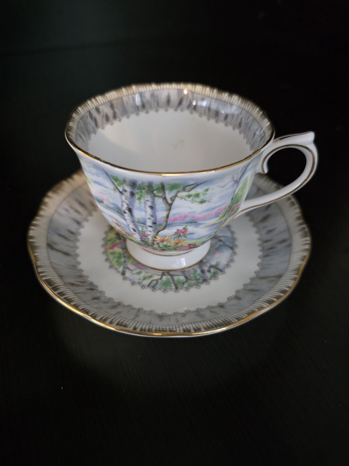 VINTAGE Royal Albert Bone China Tea Cup &amp;Saucer Set Silver Birch England Floral Gold Rim