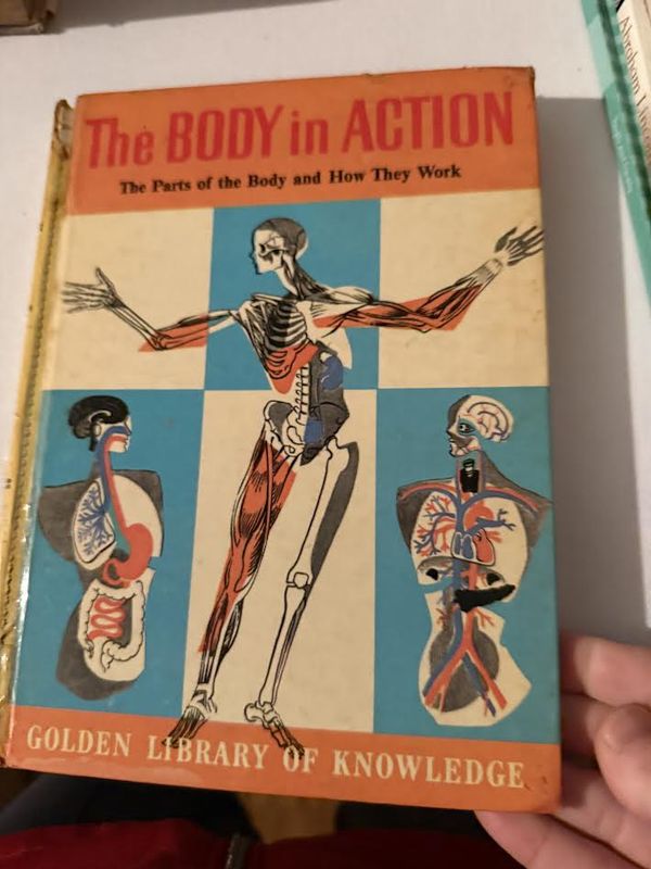The Body in Action Book Golden Library of Knowledge