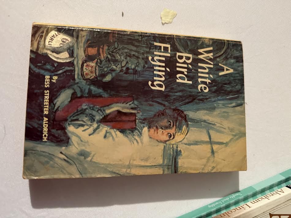 A White Bird Flying Book