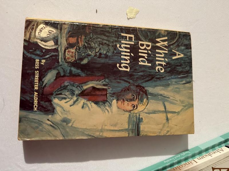 A White Bird Flying Book
