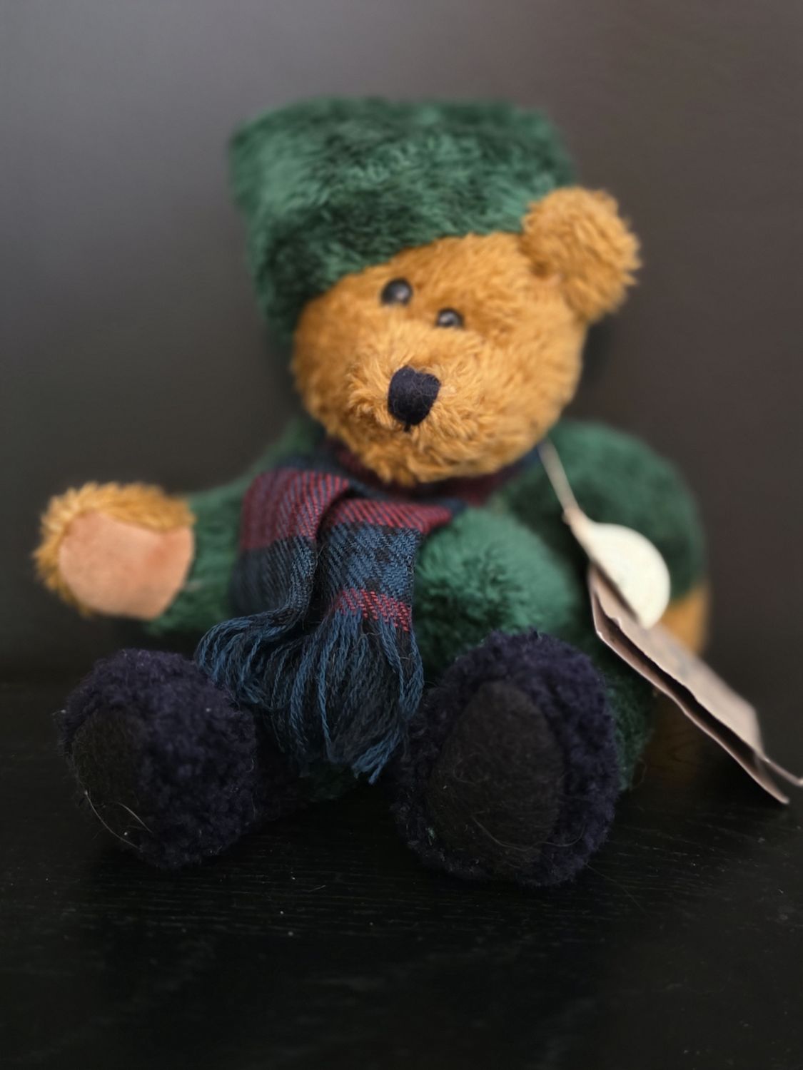 Boyds Bear Emmett Bear - 10.5&quot;
