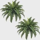 FOREST PRINCE 35&quot; Ferns Artificial Bush Plants Large, 2 Artificial Boston Ferns