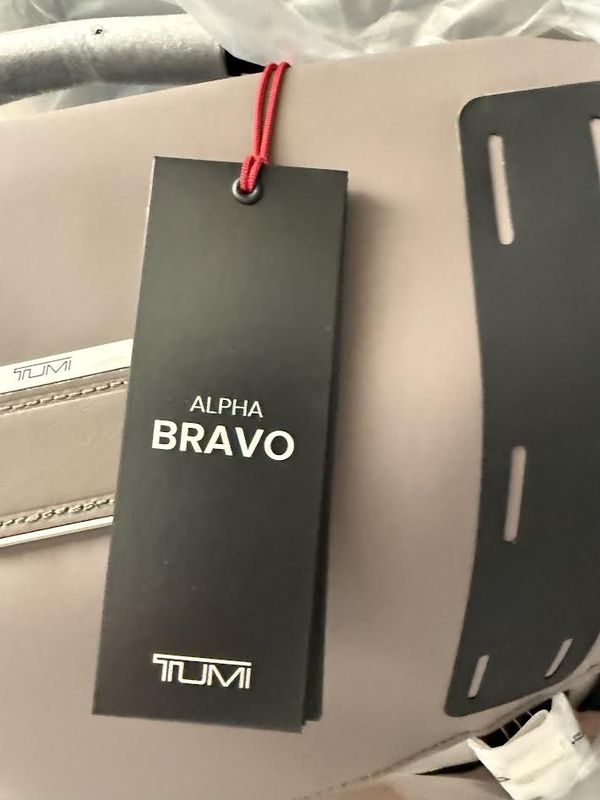 TUMI - Alpha Bravo Expedition Flap Backpack - Chalk