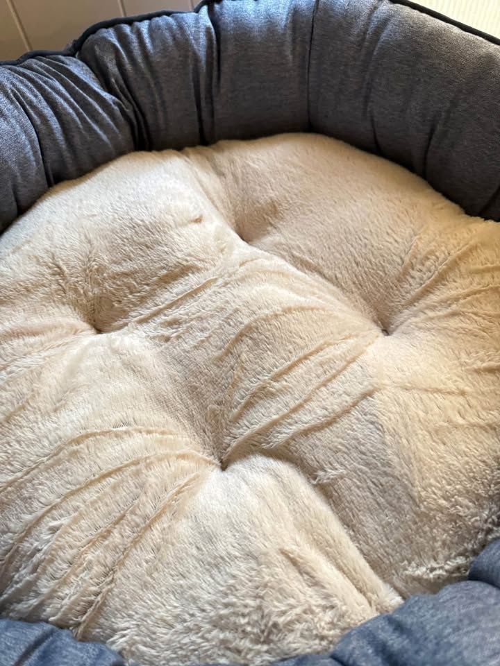 New American Kennel Club Premium Pet Bed 31 x 31x 9