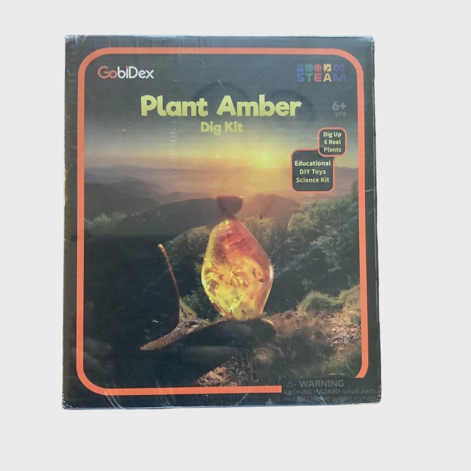 10-Gobi Dex Plant Amber Digging Kits