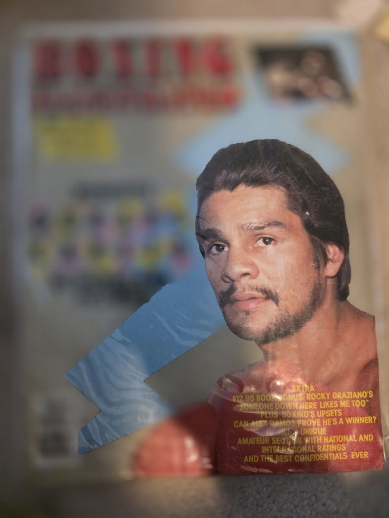 boxing illustrated magazine novermer 1982