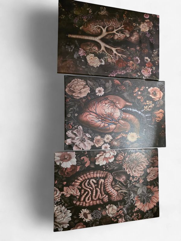 3pcs Renaissance Art Canvas Wall Decor, Pine Wrapped Frame, Watercolor Heart And Floral Anatomy, Bohemian Art Prints, for Home Office, Living Room, Bedroom, Indoor Outdoor Decor, Spring Summer Ink Pai
