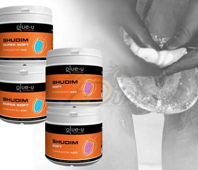 GLUE U SHUDIM